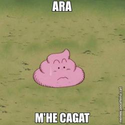 ARA M'HE CAGAT