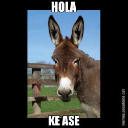 HOLA KE ASE