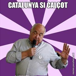 CATALUNYA SI CALÇOT