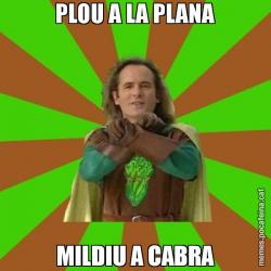 PLOU A LA PLANA MILDIU A CABRA