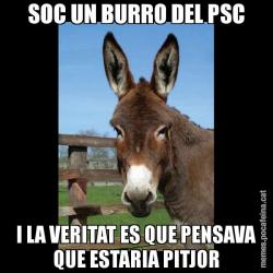 SOC UN BURRO DEL PSC I LA VERITAT ES QUE PENSAVA QUE ESTARIA PITJOR