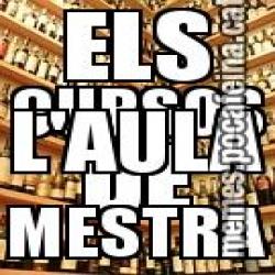 ELS CURSOS DE L'AULA MESTRA