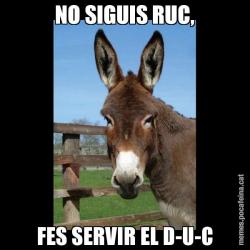 NO SIGUIS RUC, FES SERVIR EL D-U-C