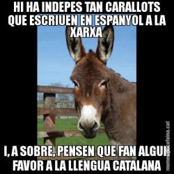 HI HA INDEPES TAN CARALLOTS QUE ESCRIUEN EN ESPANYOL A LA XARXA I, A SOBRE, PENSEN QUE FAN ALGUN FAVOR A LA LLENGUA CATALANA