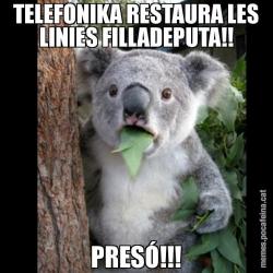 TELEFONIKA RESTAURA LES LINIES FILLADEPUTA!! PRESÓ!!!