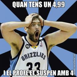 QUAN TENS UN 4,99 I EL PROFE ET SUSPEN AMB 4
