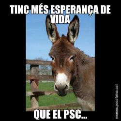 TINC MÉS ESPERANÇA DE VIDA QUE EL PSC...