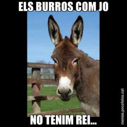 ELS BURROS COM JO NO TENIM REI...