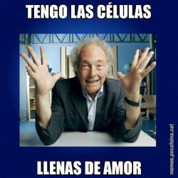 TENGO LAS CÉLULAS LLENAS DE AMOR