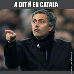 A DIT Ñ EN CATALA