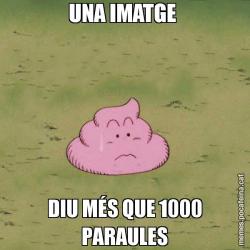 UNA IMATGE  DIU MÉS QUE 1000 PARAULES
