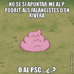 NO SÉ SI APUNTAR-ME AL P. PODRIT, ALS FALANGISTES D'EN RIVERA O AL PSC....¿..?