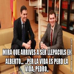 MIRA QUE ARRIVES A SER LLEPACULS EH ALBERTO...  ..PER LA VIDA ES PERD LA VIDA, PEDRO..