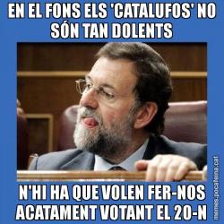 EN EL FONS ELS 'CATALUFOS' NO SÓN TAN DOLENTS N'HI HA QUE VOLEN FER-NOS ACATAMENT VOTANT EL 20-N