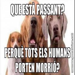 QUE ESTÀ PASSANT? PERQUÈ TOTS ELS HUMANS PORTEN MORRIÓ?