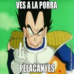 VES A LA PORRA PELACANYES