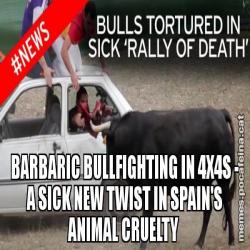 BARBARIC BULLFIGHTING IN 4X4S - A SICK NEW TWIST IN SPAIN'S ANIMAL CRUELTY