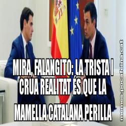 MIRA, FALANGITO: LA TRISTA I CRUA REALITAT ÉS QUE LA MAMELLA CATALANA PERILLA