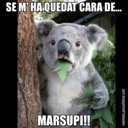 SE M' HA QUEDAT CARA DE... MARSUPI!!