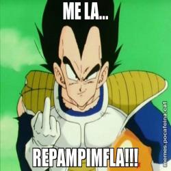 ME LA... REPAMPIMFLA!!!