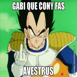 GABI QUE CONY FAS AVESTRUS