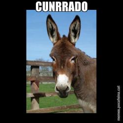 CUNRRADO