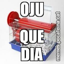 OJU QUE DIA