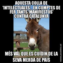 AQUESTA COLLA DE 'INTELECTUALES',  EN COMPTES DE FER TANTS 'MANIFIESTOS' CONTRA CATALUNYA MÉS VAL QUE ES CUIDIN DE LA SEVA MERDA DE PAÍS