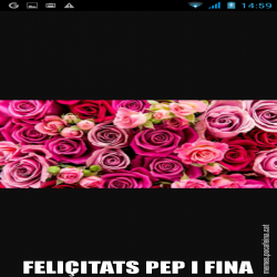 FELIÇITATS PEP I FINA