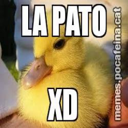 LA PATO XD