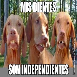MIS DIENTES SON INDEPENDIENTES
