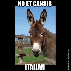 NO ET CANSIS  ITALIAN