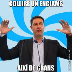 COLLIRE UN ENCIAMS AIXÍ DE GRANS