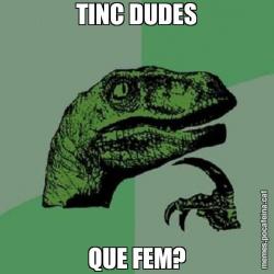 TINC DUDES QUE FEM?
