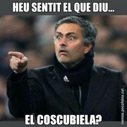 HEU SENTIT EL QUE DIU... EL COSCUBIELA?