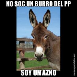 NO SOC UN BURRO DEL PP SOY UN AZNO