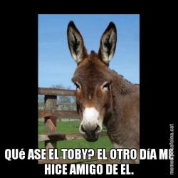 QUé ASE EL TOBY? EL OTRO DíA ME HICE AMIGO DE EL.
