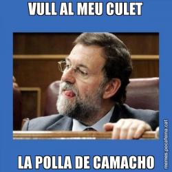 VULL AL MEU CULET LA POLLA DE CAMACHO