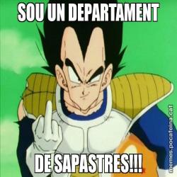 SOU UN DEPARTAMENT DE SAPASTRES!!!