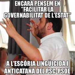 ENCARA PENSEM EN "FACILITAR LA GOVERNABILITAT DE L'ESTAT" A L'ESCÒRIA LINGÜICIDA I ANTICATANA DEL PSC-PSOE