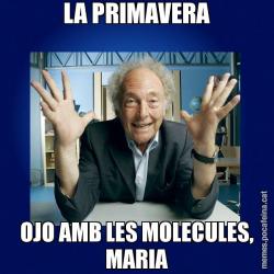 LA PRIMAVERA OJO AMB LES MOLECULES, MARIA