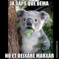 JA SAPS QUE DEMA NO ET DEIXARE MARXAR