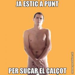 JA ESTIC A PUNT PER SUCAR EL CALÇOT