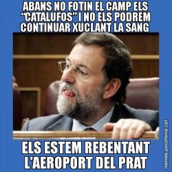 ABANS NO FOTIN EL CAMP ELS “CATALUFOS” I NO ELS PODREM CONTINUAR XUCLANT LA SANG  ELS ESTEM REBENTANT L’AEROPORT DEL PRAT