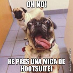 OH NO! HE PRES UNA MICA DE HOOTSUITE!