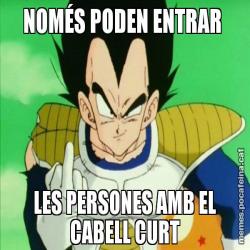 NOMÉS PODEN ENTRAR  LES PERSONES AMB EL CABELL CURT