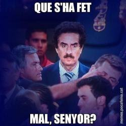 QUE S'HA FET MAL, SENYOR?