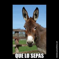 QUE LO SEPAS