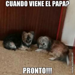 CUANDO VIENE EL PAPA? PRONTO!!!
