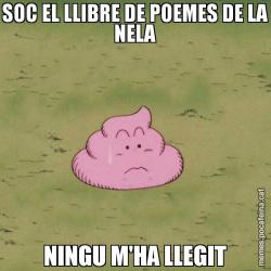 SOC EL LLIBRE DE POEMES DE LA NELA NINGU M'HA LLEGIT